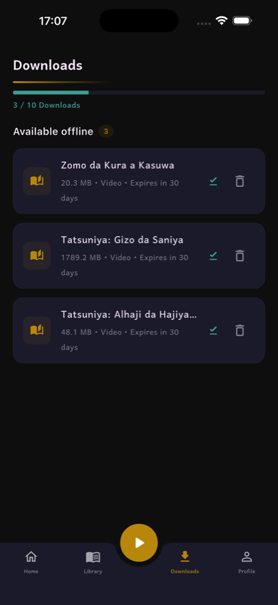 Downloads tab — three stories saved offline with sizes and expiry dates.